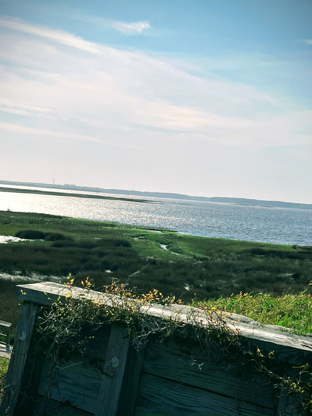 Finding Light in the&nbsp;Darkness